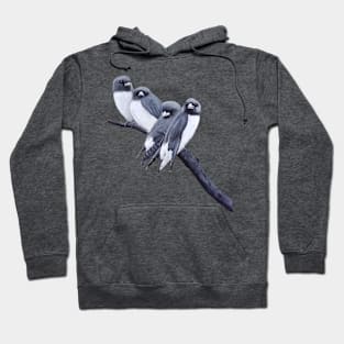 swallows all in a row Hoodie